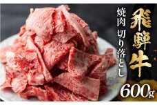 飛騨牛 焼肉 切り落とし 600g 訳あり 15000円 [S767]