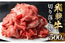 飛騨牛 切り落とし 500g 訳あり 10000円 [S768]