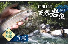 先行予約 6月以降順次発送 白川村産 天然岩魚 イワナ 5尾 10000円 [S802]