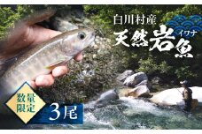 先行予約 6月以降順次発送 白川村産 天然岩魚 イワナ 3尾 5000円 [S801]