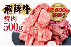 【訳あり】飛騨牛 焼肉用 切り落とし肉 500g 14000円 焼き肉用 焼肉 切り落とし 切落し 牛肉 肉 バーベキュー BBQ セット 和牛 焼肉 部位おまかせ ごちそう 贅沢飛騨牛  JA ひだ 大容量 人気 おすすめ アウトドア  国産 冷凍 [S811]