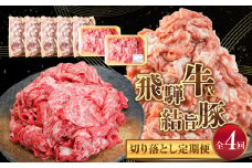 定期便全4回 訳あり 飛騨牛 結旨豚 切り落とし 計約2.3kg 120000円 [S827]