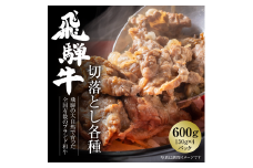 飛騨牛 切落とし 600g（約150g×4パック） 冷凍真空パック | 肉 お肉 すき焼き すきやき しゃぶしゃぶ 黒毛和牛 和牛 個包装 小分け 人気 おすすめ 牛肉 ギフト お取り寄せ [MZ001]