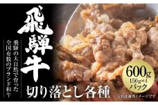 飛騨牛 切落とし 600g（約150g×4パック） 冷凍真空パック | 肉 お肉 すき焼き すきやき しゃぶしゃぶ 黒毛和牛 和牛 個包装 小分け 人気 おすすめ 牛肉 ギフト お取り寄せ [MZ001]