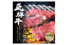 飛騨牛 カルビ焼肉 600g（150g×4パック） 冷凍真空パック | 肉 お肉 焼肉 焼き肉 やきにく 黒毛和牛 和牛 個包装 小分け 人気 おすすめ 牛肉 ギフト お取り寄せ [MZ005]