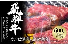 飛騨牛 焼肉 厳選2種盛（赤身・カルビ） 600g（150g×各2パック） 冷凍真空パック | 肉 お肉 焼肉 焼き肉 やきにく 黒毛和牛 和牛 個包装 小分け 人気 おすすめ 牛肉 ギフト お取り寄せ 7日以内お届け [MZ008]