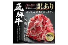 訳あり 飛騨牛 切落とし 600g（150g×4パック） 冷凍真空パック | 肉 お肉 切り落とし すき焼き すきやき 黒毛和牛 和牛 個包装 小分け 人気 おすすめ 牛肉 ギフト お取り寄せ [MZ012]