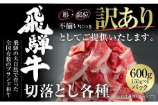 訳あり 飛騨牛 切落とし 600g（150g×4パック） 冷凍真空パック | 肉 お肉 切り落とし すき焼き すきやき 黒毛和牛 和牛 個包装 小分け 人気 おすすめ 牛肉 ギフト お取り寄せ [MZ012]