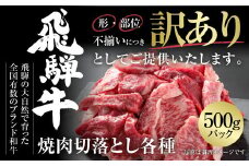 訳あり 飛騨牛 焼肉 切り落とし 500g 冷凍真空パック | 肉 お肉 切落し 不揃い 焼肉 焼き肉 やきにく 黒毛和牛 和牛 人気 おすすめ 牛肉 ギフト お取り寄せ [MZ013]