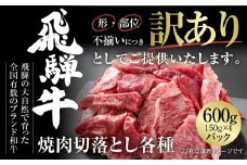 訳あり 飛騨牛 焼肉 切落とし 600g（150g×4パック） 冷凍真空パック | 肉 お肉 焼肉 焼き肉 やきにく 黒毛和牛 和牛 個包装 小分け 人気 おすすめ 牛肉 ギフト お取り寄せ [MZ014]