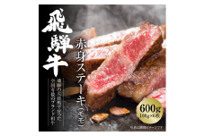 飛騨牛 赤身ステーキ 600g（100g×6枚） 冷凍真空パック | 国産 肉 お肉 ステーキ 黒毛和牛 和牛 人気 おすすめ 牛肉 ギフト お取り寄せ [MZ018]