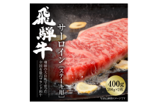 飛騨牛 サーロインステーキ 400g（200ｇ×2） 冷凍真空パック | 肉 お肉 ステーキ 黒毛和牛 和牛 人気 おすすめ 牛肉 ギフト お取り寄せ [MZ019]