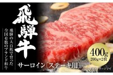 飛騨牛 サーロインステーキ 400g（200ｇ×2） 冷凍真空パック | 肉 お肉 ステーキ 黒毛和牛 和牛 人気 おすすめ 牛肉 ギフト お取り寄せ [MZ019]