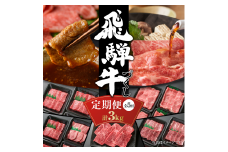 【定期便】飛騨牛 全５回（焼肉・すき焼き・ステーキ）計3kg | 焼肉 ステーキ カルビ 食べ比べ 牛 定期 飛騨高山ミート [MZ100]