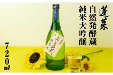 先行予約 蓬莱自然発酵蔵 純米大吟醸 渡辺酒造店 8000円 日本酒 渡辺酒造 父の日 母の日 ギフト お酒 日本酒 飛騨 の 地酒 世界遺産 白川郷 [S869]