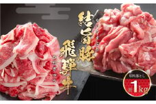 訳あり 飛騨牛 切落とし 500g 結旨豚 切落し 500g 冷凍真空パック | 肉 お肉 切り落とし すき焼き すきやき 黒毛和牛 和牛 人気 おすすめ 牛肉 豚肉 食べ比べ セット ギフト お取り寄せ【MS022】