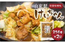 白川郷 自家製 けいちゃん 250g×2袋セット 5000円 [S913]