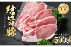 結旨豚 ロースとんかつ 500g 飛騨高山ミート 8000円 [MS002]