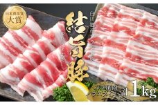 結旨豚 バラスライス 500g バラ焼肉 500g 計1kg 冷凍真空パック | 肉 お肉 豚肉 国産 食べ比べ セット 白川郷 岐阜県 白川村 ブランド豚 人気 おすすめ ギフト 飛騨高山ミート 11000円 [MS015]