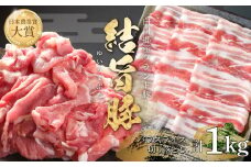 結旨豚 バラスライス 500g 切り落とし 500g 計1kg 冷凍真空パック | 肉 お肉 豚肉 国産 食べ比べ セット 白川郷 岐阜県 白川村 ブランド豚 人気 おすすめ ギフト 飛騨高山ミート 10000円 [MS016]