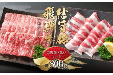 飛騨牛 結旨豚 焼肉 食べ比べ セット 計800g 飛騨牛 カルビ焼肉 300g 結旨豚 バラ焼肉 500g 冷凍真空パック | 肉 お肉 黒毛和牛 和牛 人気 おすすめ 牛肉 豚肉 ギフト お取り寄せ 15000円【MS019】
