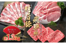 飛騨牛 結旨豚 食べ比べ セット 計1.3kg とんかつ ローススライス 赤身 ステーキ 冷凍真空パック | 肉 お肉 すき焼き 鍋 しゃぶしゃぶ 黒毛和牛 和牛 人気 おすすめ 牛肉 豚肉 ギフト お取り寄せ 25000円【MS021】