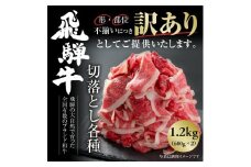 訳あり 飛騨牛 切落とし 600g×2 計1.2kg 冷凍真空パック | 肉 お肉 切り落とし 薄切り すき焼き すきやき 黒毛和牛 和牛 人気 おすすめ 牛肉 ギフト お取り寄せ [MS025]