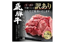 訳あり 飛騨牛 焼肉 切り落とし 600g×2 冷凍真空パック | 肉 お肉 切落し 不揃い 焼肉 焼き肉 やきにく 黒毛和牛 和牛 人気 おすすめ 牛肉 ギフト 個包装 小分け お取り寄せ 飛騨高山ミート [MS026]