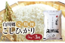 白川郷 こしひかり 定期便 5kg 3回 米 白米 ごはん 3か月 コシヒカリ 精米 人気 おすすめ 岐阜県 飛騨 おいしい [S924]