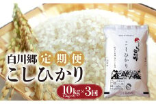 白川郷 こしひかり 定期便 10kg 3回 米 白米 ごはん 3か月 コシヒカリ 精米 人気 おすすめ 岐阜県 飛騨 おいしい [S925]