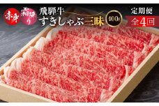 定期便 全4回 飛騨牛すきしゃぶ 三昧定期便（ロース、モモ交互）(2か月に1回）| 和牛 国産 すきやき しゃぶしゃぶ だるまミート 72000円 [S929]