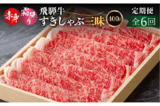 定期便 全6回 飛騨牛すきしゃぶ 三昧定期便（ロース、モモ交互）(2か月に1回）| 和牛 国産 すきやき しゃぶしゃぶ だるまミート 108000円 [S930] 