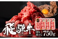 飛騨牛切り落し 750g (250g×3p) 牛肉 和牛 国産 すきやき 肉じゃが カレー ビーフシチュー 肉野菜炒め だるまミート 14000円 [S932] 