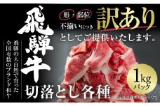 訳あり 飛騨牛 切落し 1kg 冷凍真空パック 飛騨高山ミート | 肉 お肉 切り落とし 薄切り すき焼き すきやき 黒毛和牛 和牛 人気 おすすめ 牛肉 ギフト [MZ035]