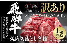訳あり 飛騨牛 焼肉 切り落とし 1kg 冷凍真空パック | 肉 お肉 切落し 不揃い 焼肉 焼き肉 やきにく 黒毛和牛 和牛 人気 おすすめ 牛肉 ギフト お取り寄せ 飛騨高山ミート [MZ036]