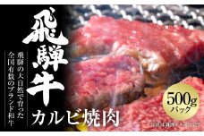 飛騨牛 カルビ焼肉 500g 冷凍真空パック 飛騨高山ミート | 肉 お肉 焼肉 焼き肉 やきにく 黒毛和牛 和牛 人気 おすすめ 牛肉 ギフト お取り寄せ [MZ037]
