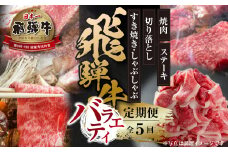 《定期便》全5回 飛騨牛 バラエティ（ステーキ /焼肉 / すき焼き/切り落とし）[飛騨高山ミート] | 冷凍真空パック 肉 お肉 すきやき 黒毛和牛 和牛 人気 おすすめ 牛肉 [MZ104]