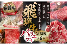 《定期便》全6回 飛騨牛 バラエティ（ステーキ /焼肉 /すき焼き/切り落とし）[飛騨高山ミート] | 冷凍真空パック 肉 お肉 すきやき 黒毛和牛 和牛 人気 おすすめ 牛肉 [MZ105]