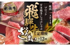 《定期便》全12回 飛騨牛 ざんまい（ステーキ /焼肉 / すき焼き/切り落とし/ブロック）[飛騨高山ミート] | 冷凍真空パック 肉 お肉 すきやき 黒毛和牛 和牛 人気 おすすめ 牛肉[MZ106]