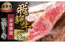 《定期便》全3回 飛騨牛 赤身 ステーキ 肉 飛騨牛 赤身肉 小分け 100g×3P 300g 定期 3回お届け 飛騨高山ミート 39000円 | 冷凍真空パック 肉 お肉 黒毛和牛 和牛 人気 おすすめ 牛肉  [MZ108]