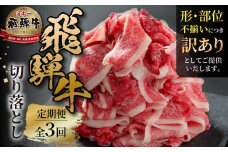 《定期便》 3回 訳あり 飛騨牛 切り落とし 500g 肉 飛騨牛 定期 切落し 飛騨高山ミート 30000円  | 冷凍真空パック 肉 お肉 黒毛和牛 和牛 人気 おすすめ 牛肉 [MZ110]
