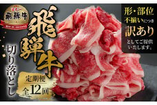《定期便》 12回 訳あり 飛騨牛 切り落とし 500g 肉 飛騨牛 定期 切落し 飛騨高山ミート 120,000円  | 冷凍真空パック 肉 お肉 黒毛和牛 和牛 人気 おすすめ 牛肉 [MZ112]