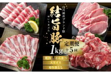 《定期便》全5回 結旨豚（焼肉・しゃぶしゃぶ・切り落とし）1kg×5か月 冷凍真空パック | 肉 お肉 豚肉 国産 食べ比べ セット 白川郷 岐阜県 白川村 ブランド豚 人気 おすすめ ギフト 飛騨高山ミート 53000円 [MS100]