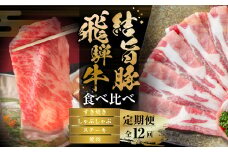《定期便》全12回 飛騨牛＆ 結旨豚 大容量 | 肉 お肉 豚肉 牛肉 国産 食べ比べ セット 白川郷 岐阜県 白川村 ブランド豚 人気 おすすめ ギフト 飛騨高山ミート 198000円 [MS108]