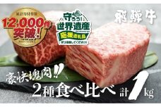 『とにかく白川村を応援コース（倍応援）』飛騨牛 ブロック肉 1kg (霜降り肉 赤身肉 500g×2 ) 訳あり 訳アリ 部位お任せ 不揃い ローストビーフ  牛肉 ブロック セット 真空パック 黒毛和牛 肉　肉厚　大容量  バーベキュー BBQ キャンプ 焼き肉 焼肉 ごちそう JA 30000円 駆け込み前の お申込なら すぐ届く すぐ届きやすい [S090]