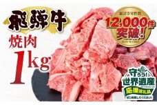 『とにかく白川村を応援コース（倍応援）』訳あり 飛騨牛 焼肉用 切り落とし肉 1kg 25000円 訳アリ 焼き肉用 切り落とし 切落し 牛肉 肉 バーベキュー BBQ セット 和牛 焼肉 部位おまかせ ごちそう 贅沢飛騨牛  JA ひだ 大容量 人気 おすすめ アウトドア  国産 冷凍  駆け込み前の お申込なら すぐ届く すぐ届きやすい [S201]