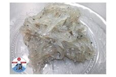 冷凍生しらす（静岡県産）60g×８袋