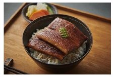 静岡うなぎ漁協 うなぎ蒲焼（カット）160g（80g×2袋）たれ・さんしょう付き
