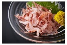 お刺身用冷凍桜えび（駿河湾産）40g×10袋