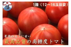 高糖度トマト「アメーラ」１箱